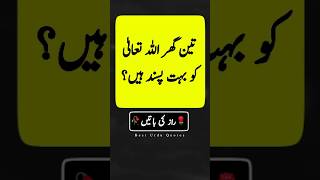 Golden words in Urdu  Urdu basic words  beautiful Islamic quotes  Quotes about life shorts [upl. by Imotas]