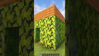 INDESTRUCTIBLE Minecraft House 😳 shorts [upl. by Etheline]