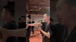 Master the Wing Chun Training Routine Unleash Your Inner Strength  Master Tu Tengyao [upl. by Callery445]