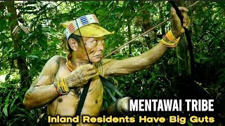 MENTAWAI TRIBE  Inland Resident Have Big Guts [upl. by Aihtibat]