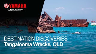 Tangaloom Wrecks QLD [upl. by Yreva]