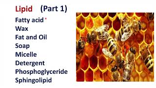 Lipid Fat Wax Soap Micelle Detergent [upl. by Ormsby]