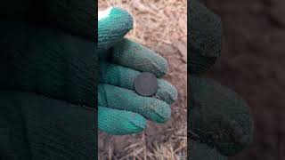 Советик metaldetecting metaldetector коп coin природа nature [upl. by Neetsyrk]