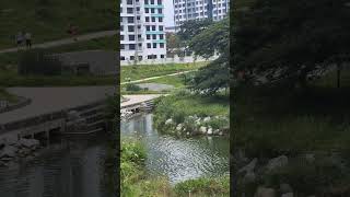 New opened park  Alkaff lake Bidadari Park  Singapore exploresg solo [upl. by Aihsekyw958]