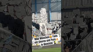 1860 München🦁 Fans in Bielefeld mit Choreo und Pyro🔥 ultras 1860 münchen dritteliga [upl. by Melli]