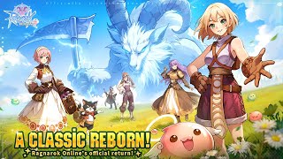 Ragnarok Rebirth  Gameplay Android [upl. by Gierk529]