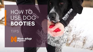 How to put on and use dog booties with Lena Boysen Hillestad Norwegian [upl. by Retla]