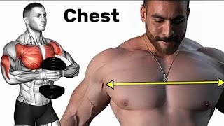 Top Workout For Wide Chest With Just Dumbbell [upl. by Ahsenroc]