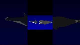 Bowhead whale vs livyatan animation sticknodes music rock [upl. by Lady]