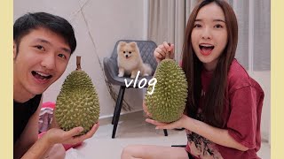 vlog｜🎉150K Subs QnA 🎉 榴槤 火鍋 FMCO長胖記｜StephyYiwen [upl. by Herrmann65]