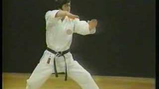 Heian Yondan  Shotokan Karate [upl. by Kaczer503]