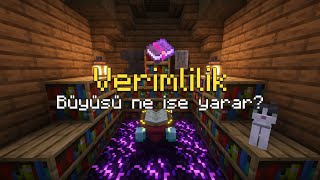 VerimlilikEfficiency Büyüsü Ne İşe Yarar  Minecraft Büyü Serisi 5 [upl. by Anrehs]