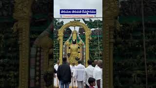 Thirumala thirupathi Devasthanam [upl. by Ajup]