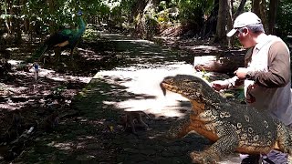 MENCARIAN BIAWAK BESAR KAWAN GARAGA Eps 1 [upl. by Oza]