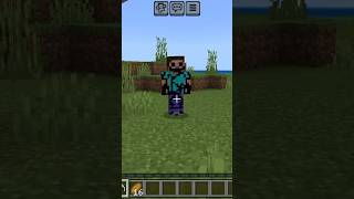 Distorted Steve Horror minecraft [upl. by Ari]