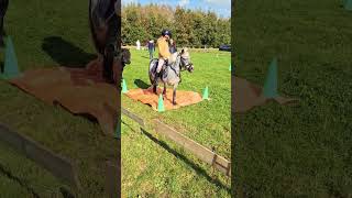 Spelletjes met Binkie ✨️💙🏇rsv Vorstenbosch ponykamp 2024 [upl. by Okimat464]