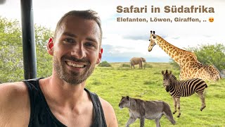 Meine erste Safari 🐘🦒🦓 [upl. by Norton]