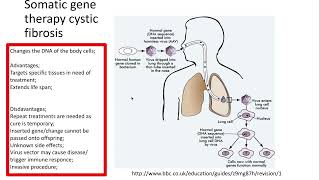 613 Manipulating genomes h The principles of and potential for gene therapy in medicine [upl. by Aleydis60]