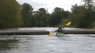 NW Kayaking Lake Sammamish into the Sammamish River quotWeirquot at Low Water Level [upl. by Darreg64]