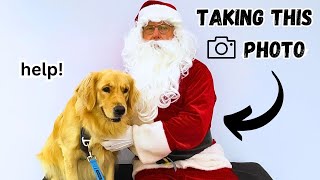 Golden Retriever Reacts to Santa  Vlogmas Day 16 [upl. by Elletnahc]