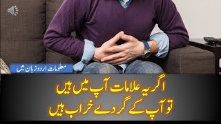 Kidney Problems Symptoms in Urdu  Health Tips in Urdu [upl. by Peirsen900]