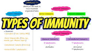 Types of Immunity Chapter 35 part 1 Guyton and Hall Physiology [upl. by Trub556]