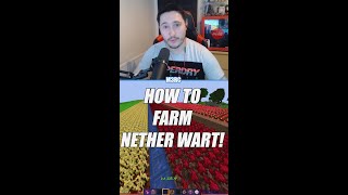 How to Farm Nether Wart on Hypixel Skyblock [upl. by Nawor]