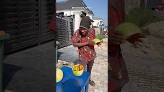 Gold water melon funny brightlightcomedy comedy comedyvideos comedyshorts shorts [upl. by Zealand587]