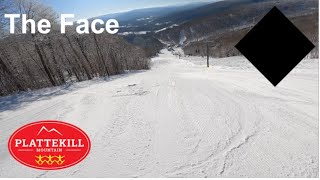 Skiing The Face at Plattekill Mountain Mar 4th 2023 [upl. by Aksoyn]