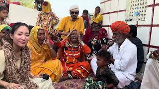 Kalbelia folk songs and dances of Rajasthan  viral kalbeliya song [upl. by Orin154]