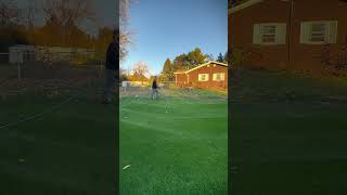 fertilizer spraying lawncare cartbuddy spray greengrass diy [upl. by Dorris]