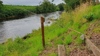 salmon fishing kinkell bridge river earn scotland [upl. by Peadar806]