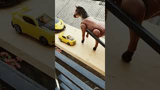 Horse Carriage Vs Small to Big Cars horse trendingshorts [upl. by Wendy67]