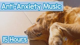 Calming Music for Puppies with Anxiety Soothing Lullabies for Anxious and Stressed Dogs Tested [upl. by Cirek]