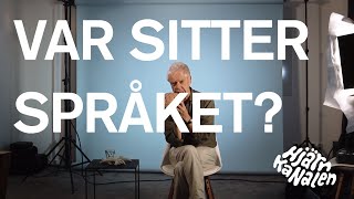 Var i hjärnan sitter språket  Hjärnkanalen [upl. by Nolram638]