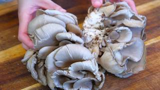 3 Minute Recipe  Oyster Mushroom Side Dish Tastes Better Than Meat [upl. by Umont]