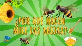 ¿POR QUÉ HACEN MIEL LAS ABEJAS  CURIOSIDADES FASCINANTES PARA NIÑOS [upl. by Studdard]