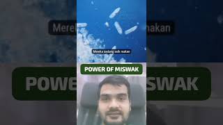 Power of miswakpower of miswakbenefits of miswakmiswakhealth benefits of miswakbenefits of miswa [upl. by Laeira]