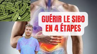 SIBO  4 ÉTAPES POUR LE GUÉRIR NATURELLEMENT 🔬 [upl. by Aneehsat]