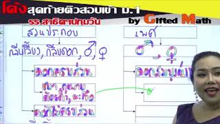 โค้งสุดท้ายติวสอบเข้าม1 รรสาธิตฯปทุมวัน วิชาวิทยาศาสตร์ [upl. by Tallou]