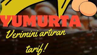 yumurta verimini artıran tarif [upl. by Hach331]