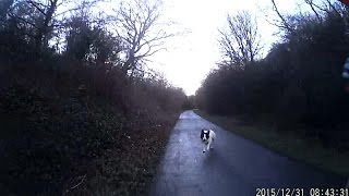 Loose Dog Chases Cyclist [upl. by Waddle28]