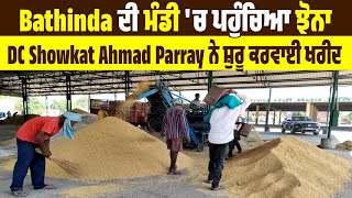 Bathinda ਦੀ ਮੰਡੀ ਚ ਪਹੁੰਚਿਆ ਝੋਨਾ DC Showkat Ahmad Parray ਨੇ ਸ਼ੁਰੂ ਕਰਵਾਈ ਖਰੀਦ [upl. by Yehus]