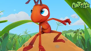 High Wire Act  Antiks 🐜  Funny Cartoons for Kids [upl. by Eanert]