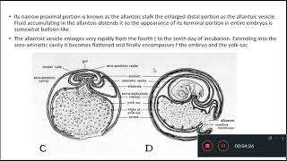 Development of allantois in chick Dr Seema Menon [upl. by Readus]