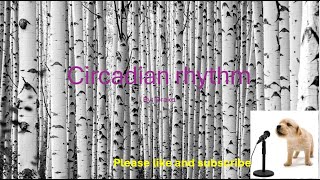 Circadian rhythm By Drake Lyrics [upl. by Auof]