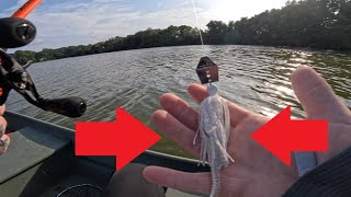 Chatterbait fishing for early fall bass seasonal change [upl. by Carn]