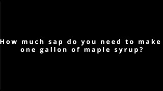 How much sap do you need to make one gallon of maple syrup [upl. by Lanita]