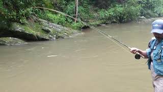 Yadkin river NC trout pt 2 [upl. by Monia]