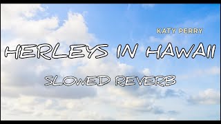 Herleys in Hawaii slowed reverb  new creation by Badal Kaushik [upl. by Bradney930]